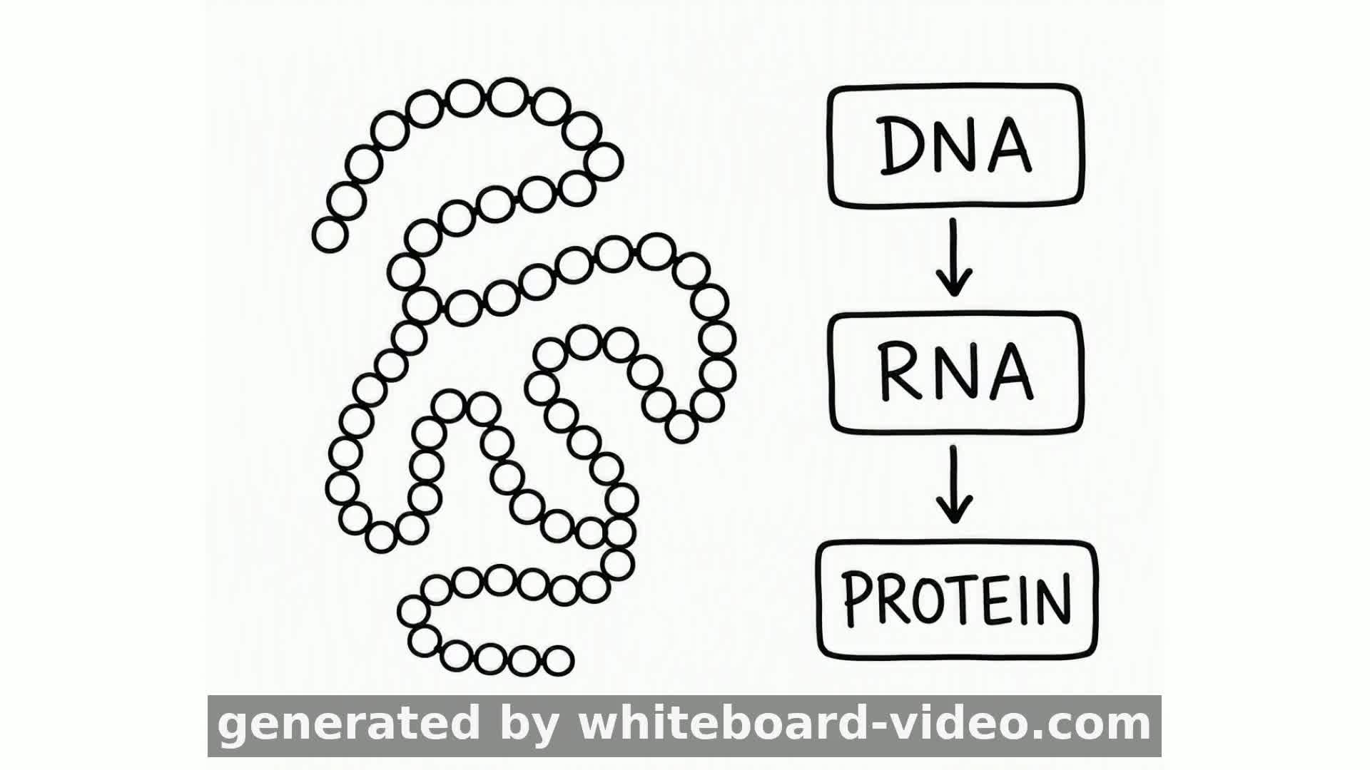 Do DNA à Proteína: A Fábrica da Vida
