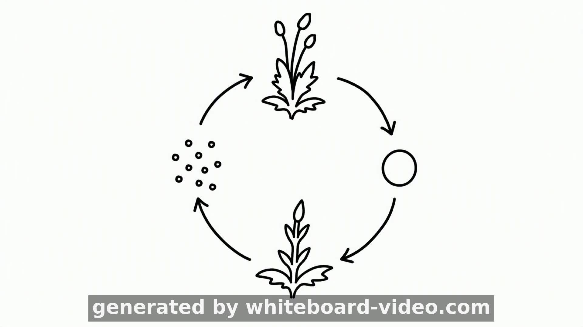 Kingdom Plantae