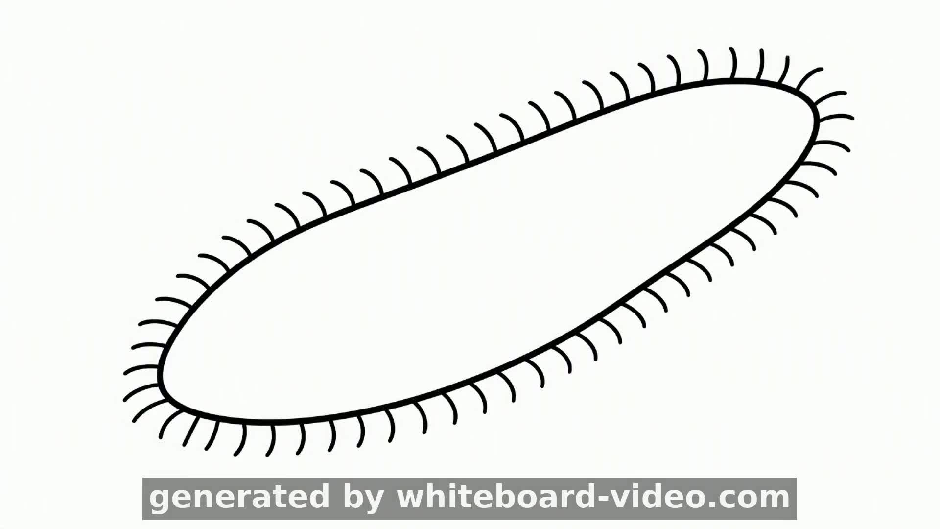 Paramecium Movement: How Cilia Power Microscopic Locomotion