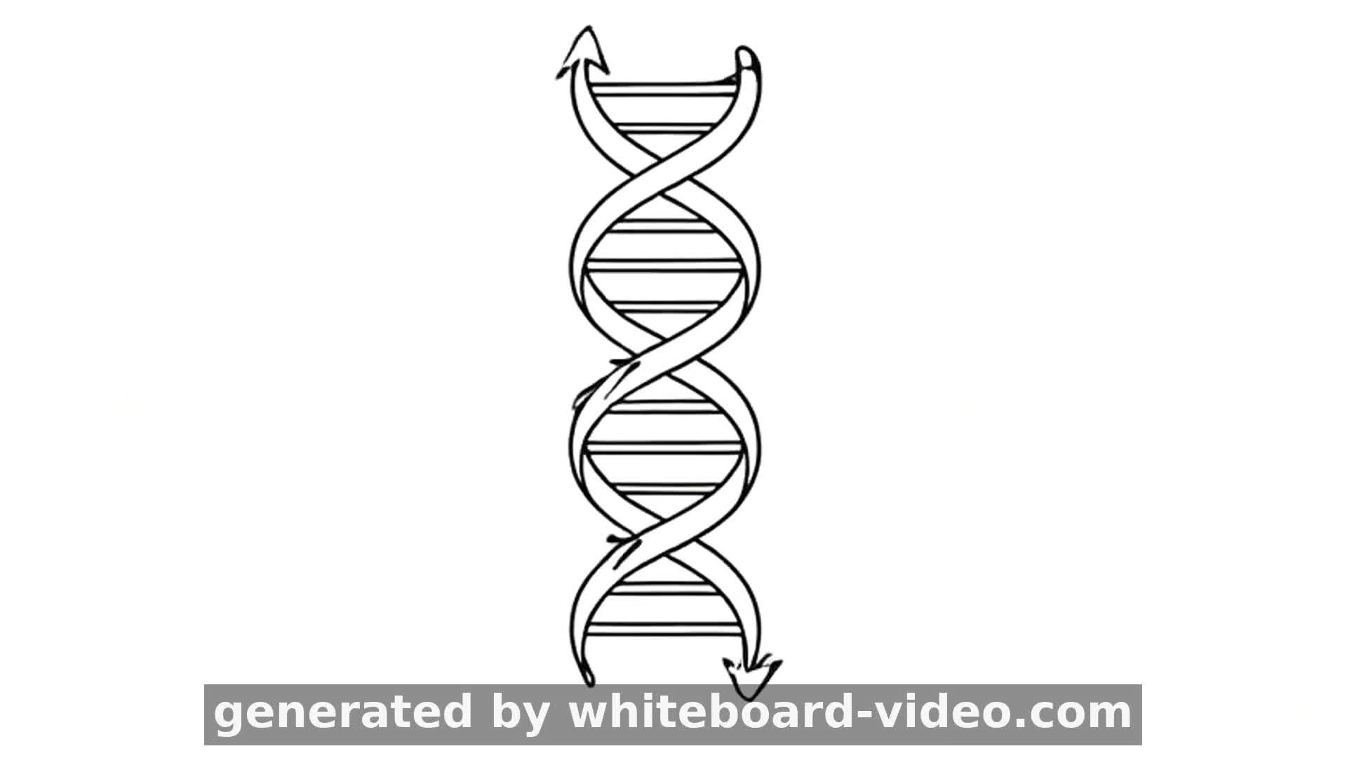 DNA Double Helix Explained