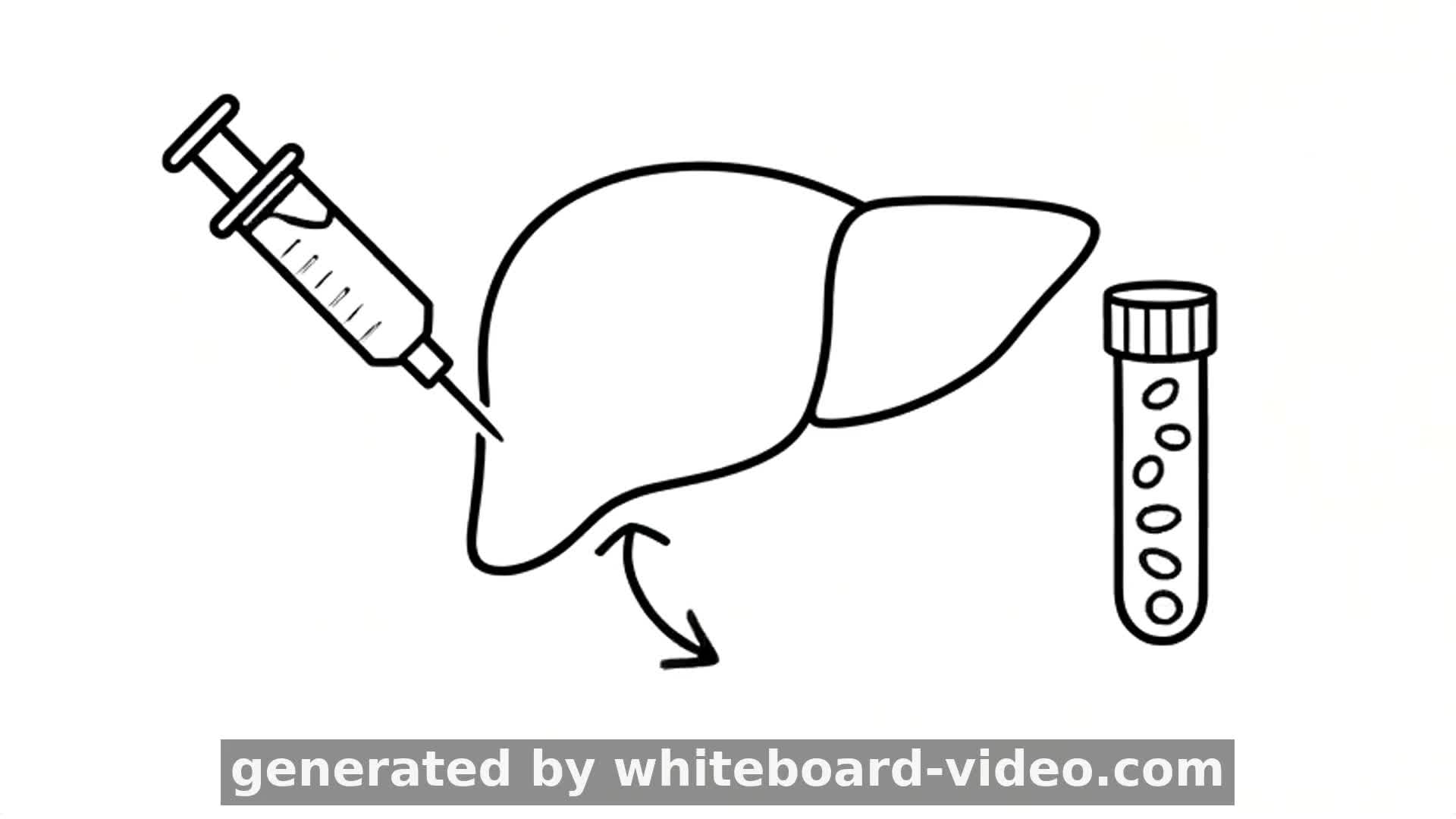 Hepatotoxicity: The Liver's Double-Edged Sword